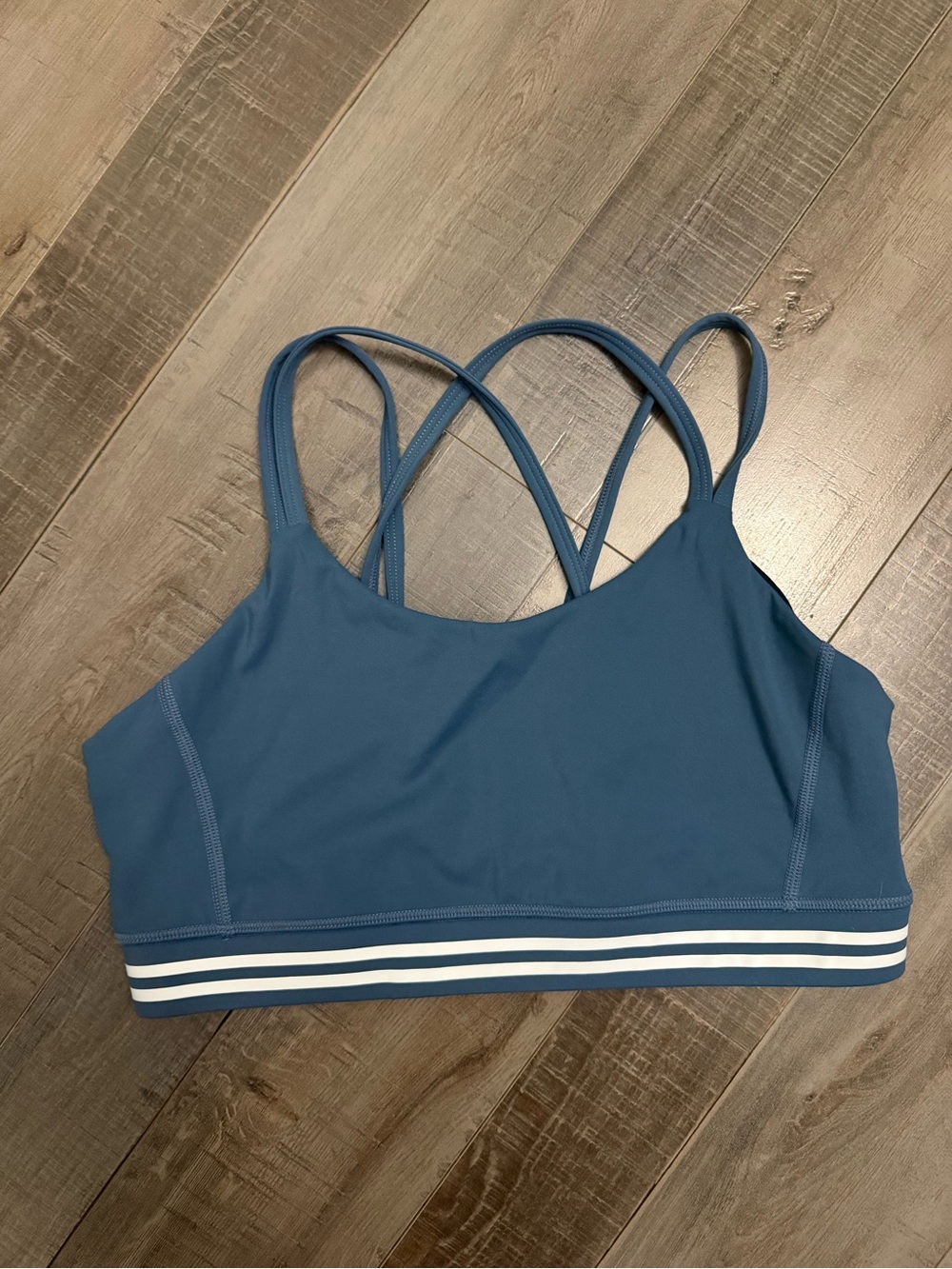 ZYIA Slate Blue Stripe Luxe Bra (L)